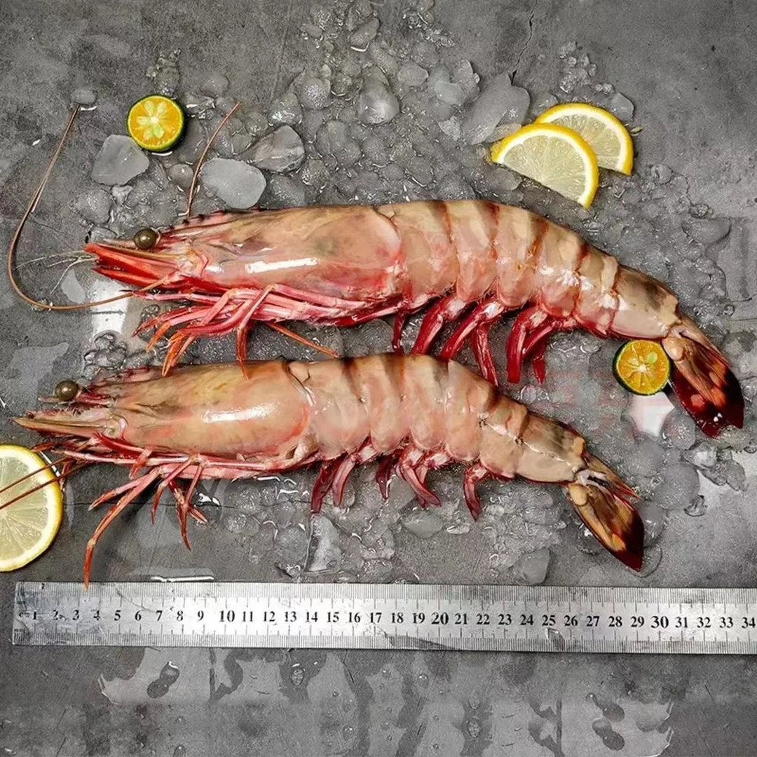 特大号黑虎虾手臂一样长   单只虾4两/7两 深海野生 净重1kg/700g