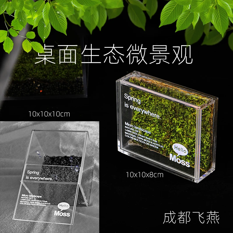 草坪展示盒私人苔藓微景观办公室绿植便携盆栽节日礼物观察培育盒