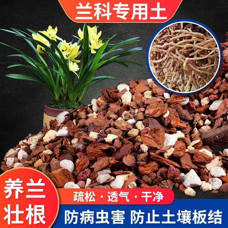 船长花园兰花专用土君子兰颗粒疏松枯萎专用种植养根兰花土专用土