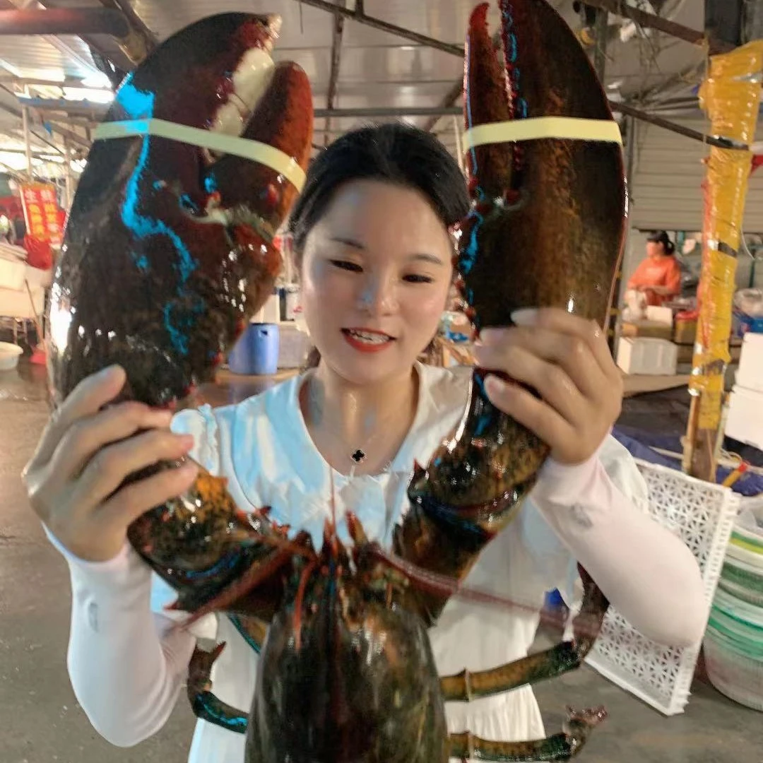 连云港 波士顿大波龙 美味海鲜（规格3-18斤）规格齐全