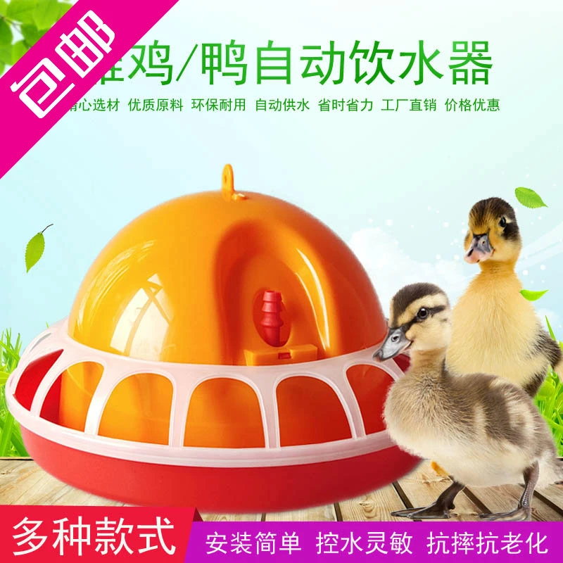 雏鸡普拉松自动饮水器鸡用喝水壶大小鸡苗鹌鹑饮水器雏鸡用喂水器