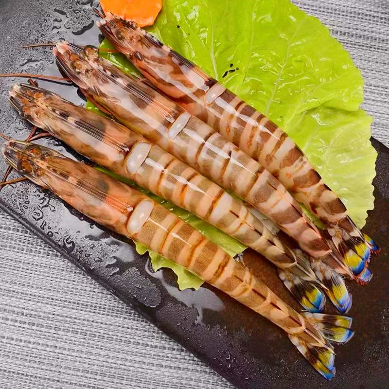 本港野生海捕斑节虾 竹节虾 花虾脆爽鲜甜