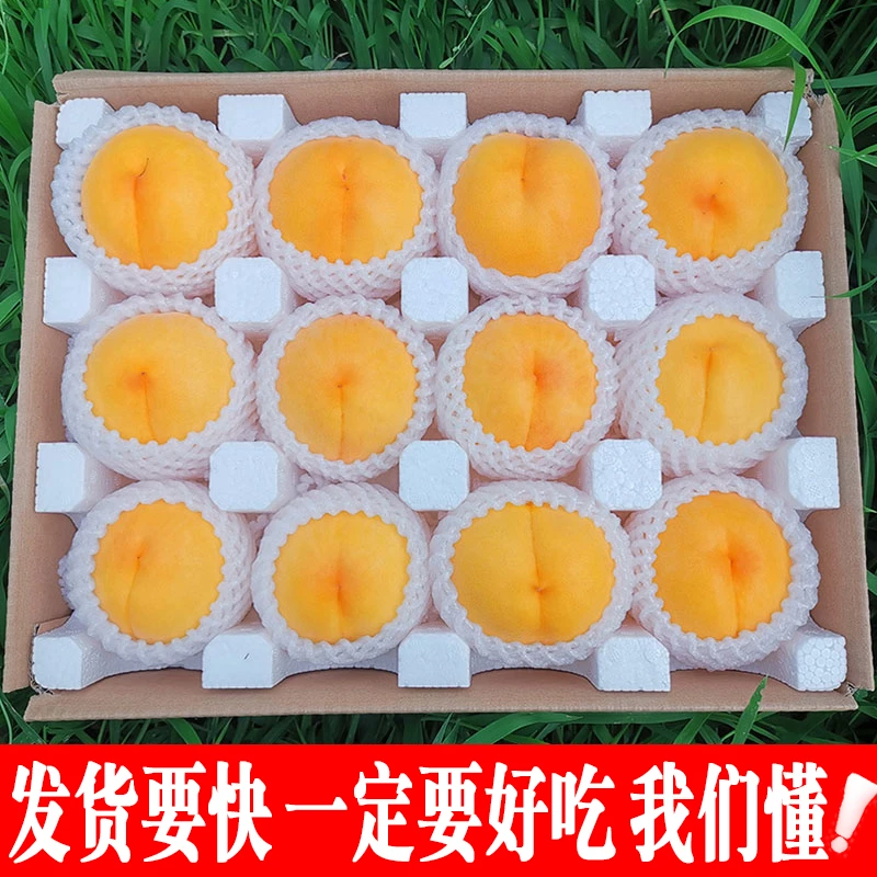 陕西中秋蜜锦绣黄桃 新鲜应当季整箱孕妇水果蜜桃4.5/8.5斤多规格