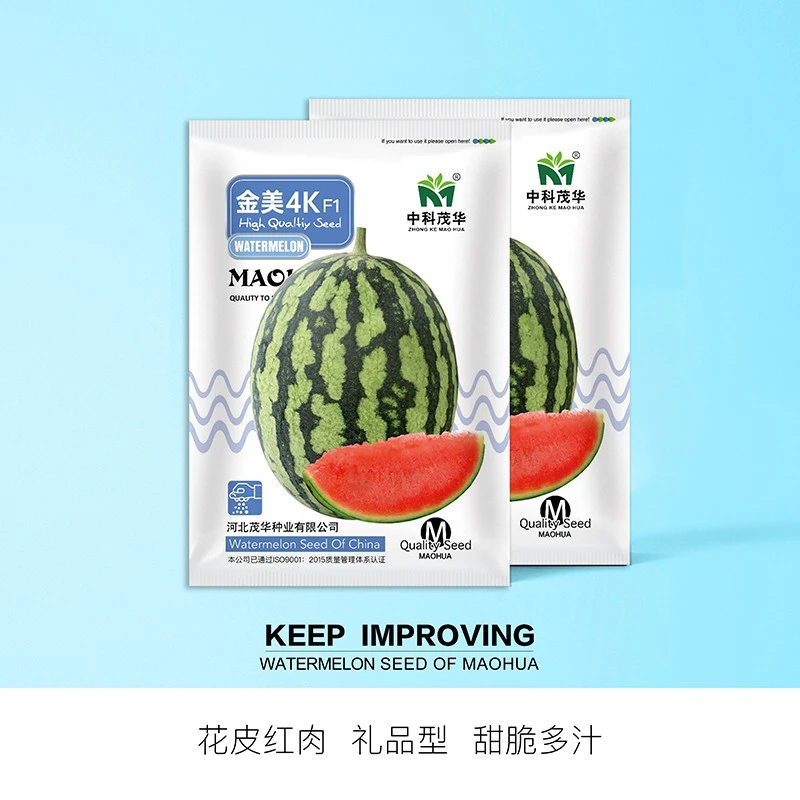 中科茂华瓜果种子金美4K西瓜盆栽种子花皮红肉甜脆多汁外形椭圆形