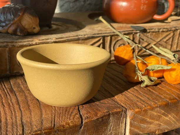 全手本山段主人杯 ，标本级料体