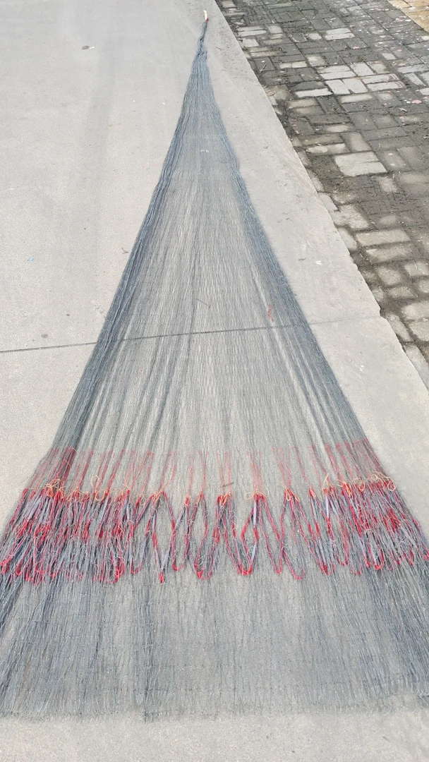 大力马线，三指。四米高