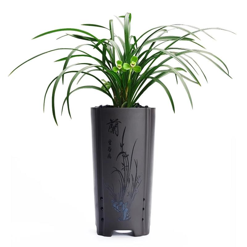 室内绿植桌面盆栽君子兰吊兰专用兰花盆陶瓷高盆大号透气花盆
