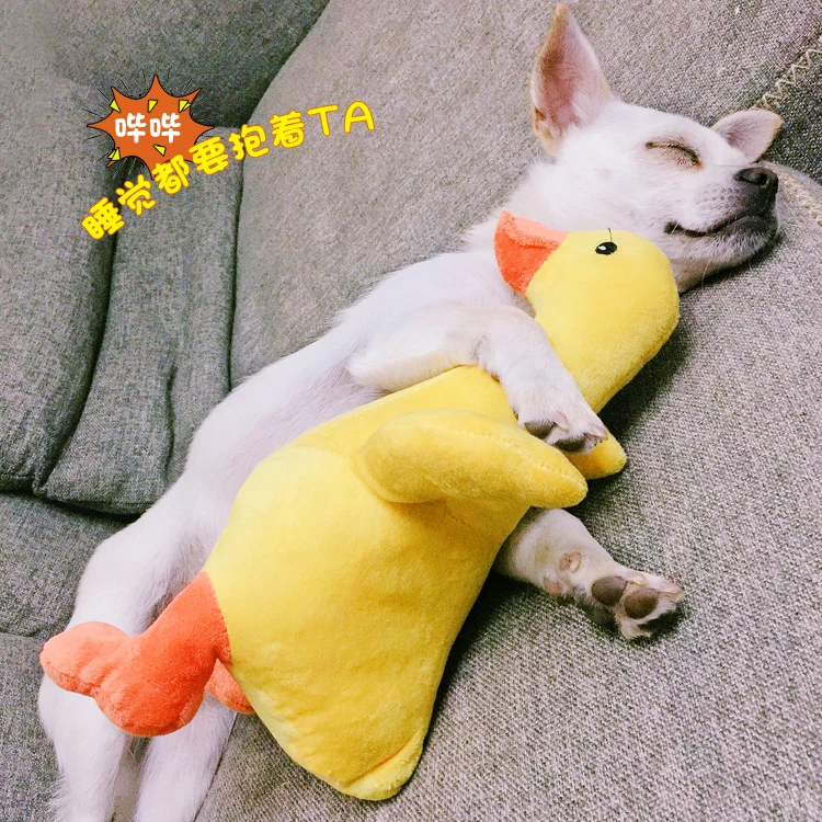 宠物狗狗玩具狗喜欢毛绒中小型犬小狗陪伴发声泰迪公狗发情期用品