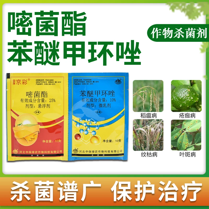 中保京彩苯甲·嘧菌酯果树蔬菜花卉白粉病炭疽病叶斑黑星病杀菌剂