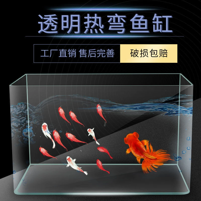 鱼缸小型热弯透明客厅阳台桌面造景水族家用金鱼斗鱼玻璃中型鱼缸