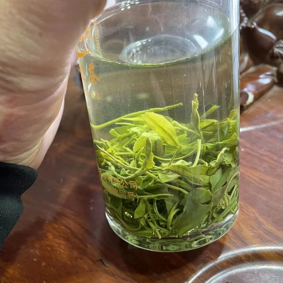 MINGLUXI/茗露熙2024春茶建始马坡茶龙井43香茶250g