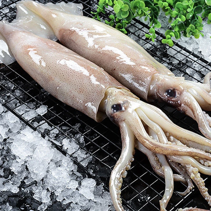 新鲜速冻海捕野生大鱿鱼（未清理）~ 10斤到手6到8左右 连云港发货