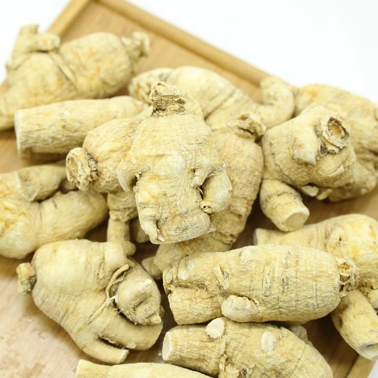 长白山西洋参  经典大粒头