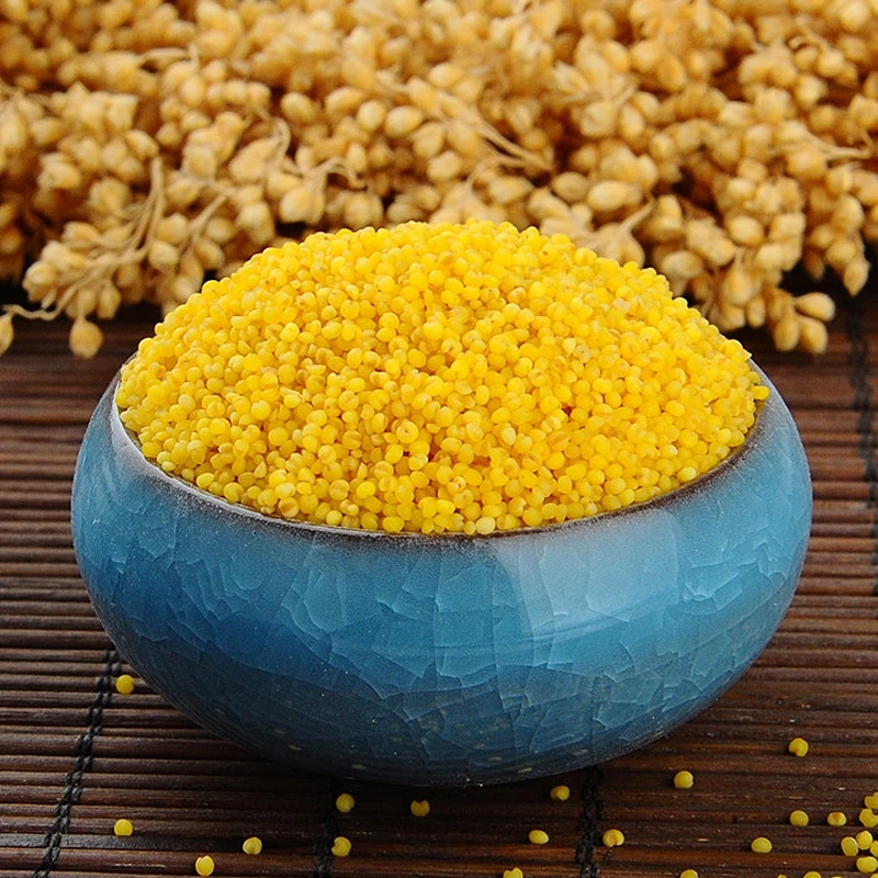 黄小米粥小黄米山西特产2020农家五谷农家食用吃的米杂粮800克
