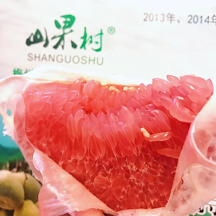 梅州寻好柚就寻山果树 匠心天然富硒有机青皮蜜柚 2个装5斤送礼