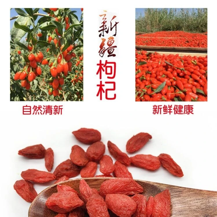 精河红枸杞精选大颗粒新疆特产滋补天然清新煲汤泡水500克包邮
