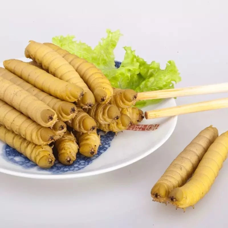 新鲜冷冻田园精品豆虫食用豆青虫豆天蛾山东特产好物味道鲜美