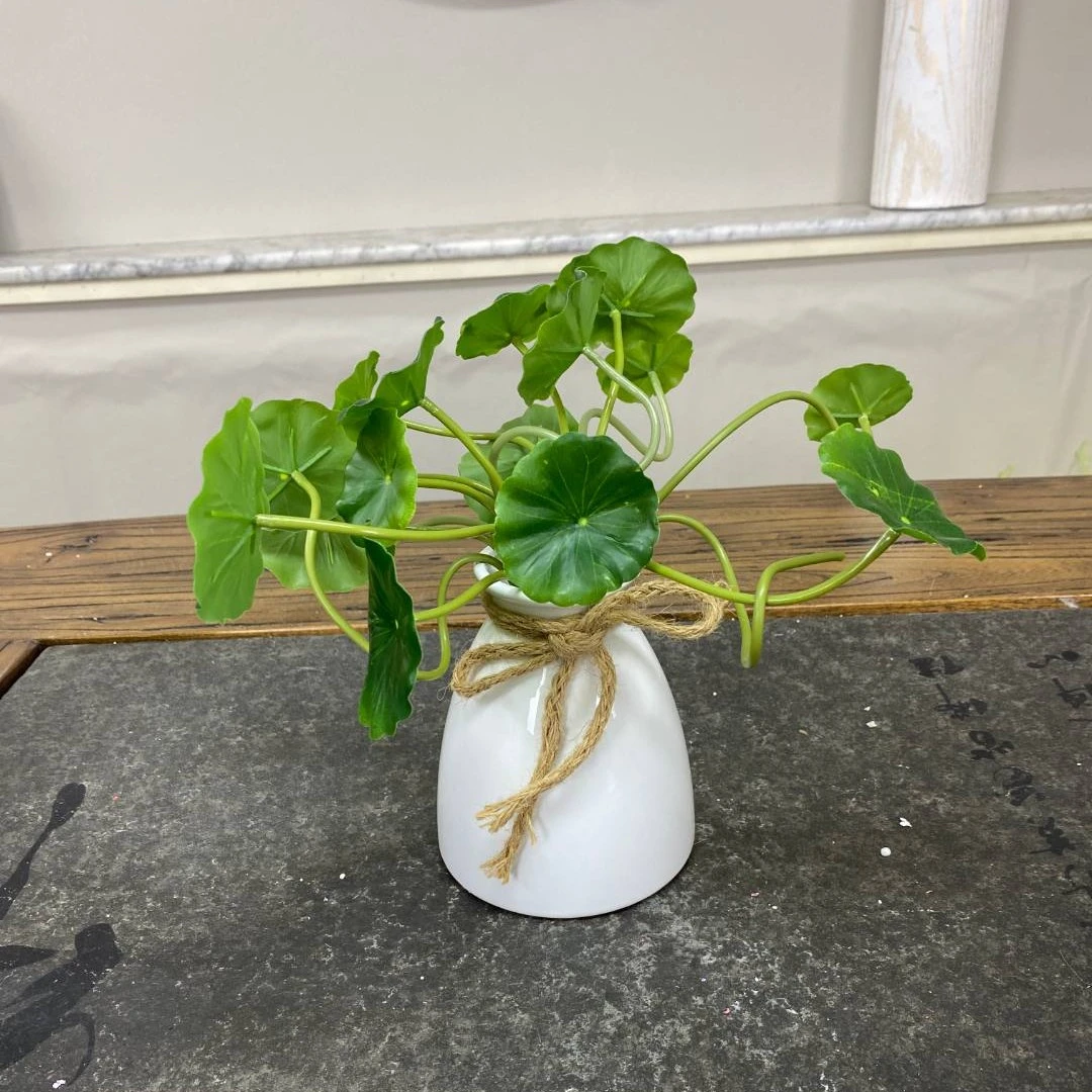 【清货】仿真花铜钱草 金钱草 一束18小支