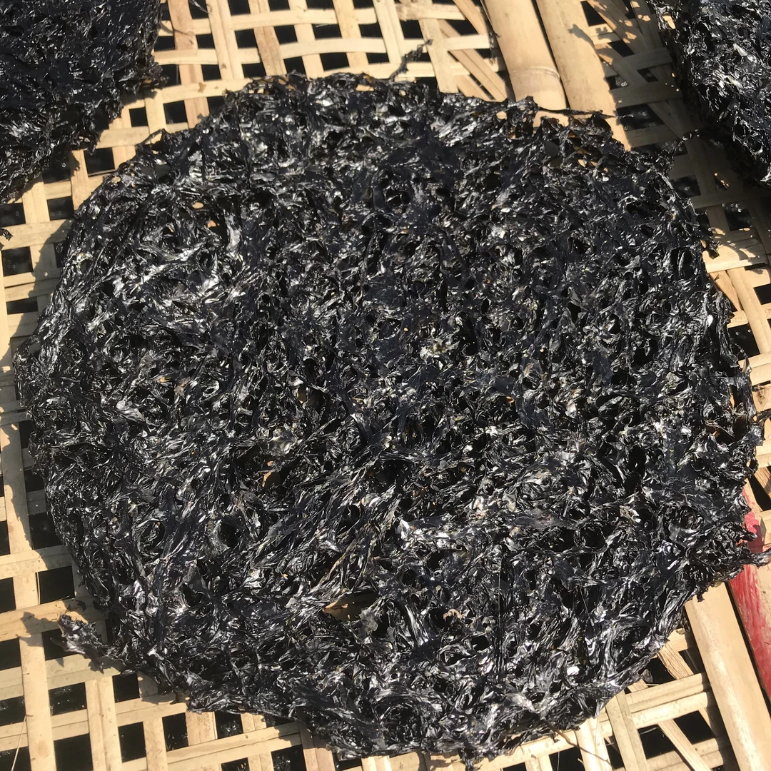 【南澳珠姐】 南澳新鲜上市无沙免洗饭店专用紫菜煮汤特产商用食材