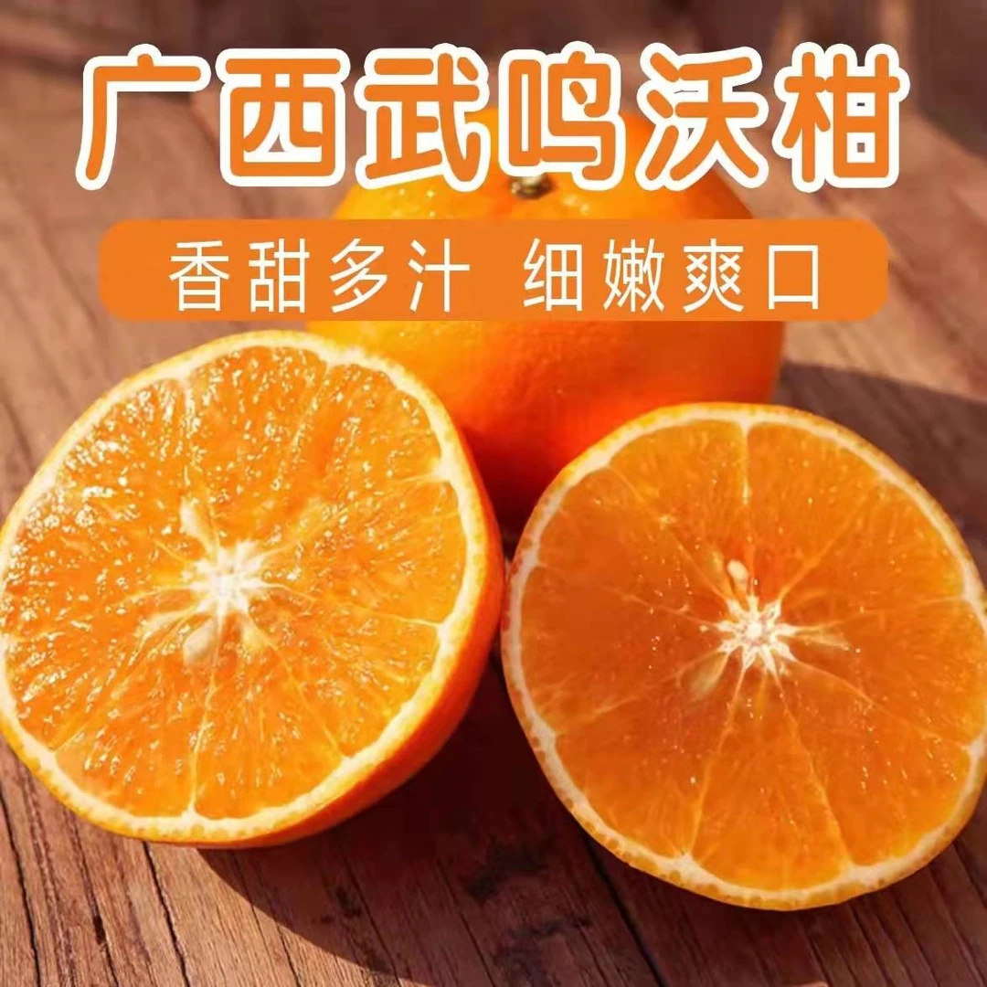 广西武鸣沃柑净重5斤（当天采摘 高甜微酸）中通包邮