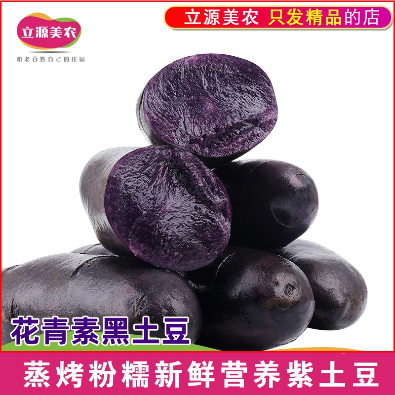 立源美农新鲜黑土豆紫心土豆黑金刚马铃薯乌洋芋5斤9斤