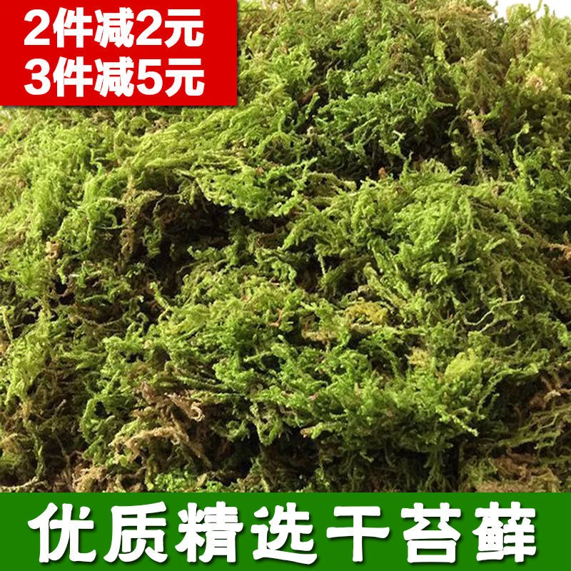干苔藓兰花蝴蝶兰专用盆栽水苔藓石斛栽培苗木嫁接乌龟冬眠用垫材