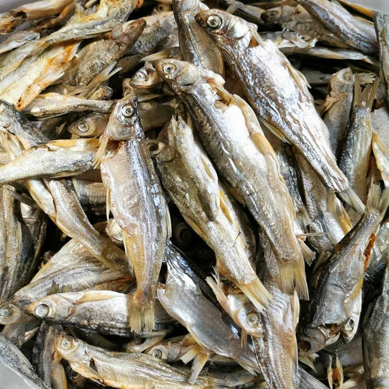 食用腌小参条一包500克风干净含量500克