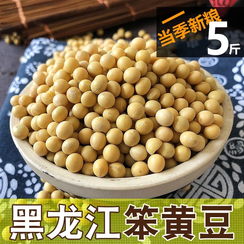东北农村发豆芽打专用豆浆大豆笨的农村非转基因黄豆5斤的