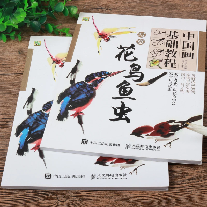中国画基础教程写意花鸟鱼虫技法解析学国画写意案例教材讲解字帖