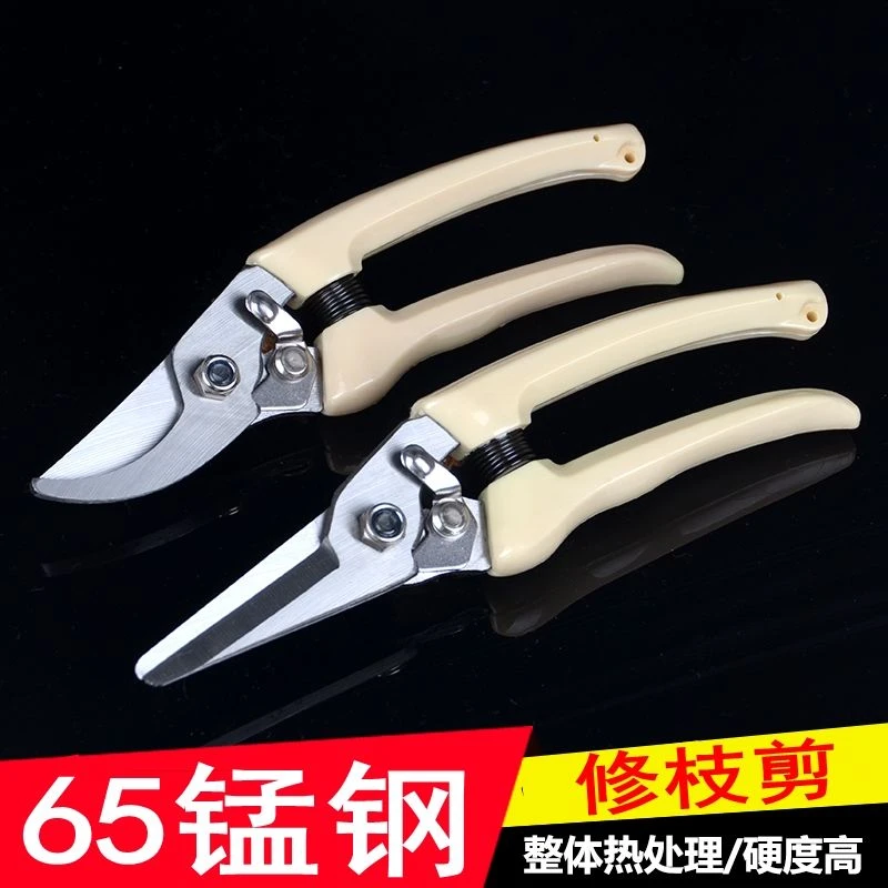 修枝果树修剪树枝园艺剪枝剪刀花艺工具修花粗枝园林家用大力剪子