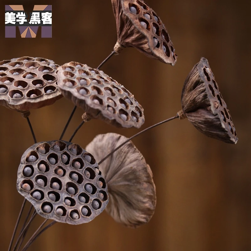 风干大号饱满带籽干花真花干莲蓬荷花天自然干花花束装饰客厅落地