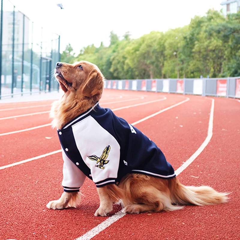 大狗狗衣服棒球秋冬装金毛犬加厚萨摩耶中大型犬秋季拉布拉多冬季