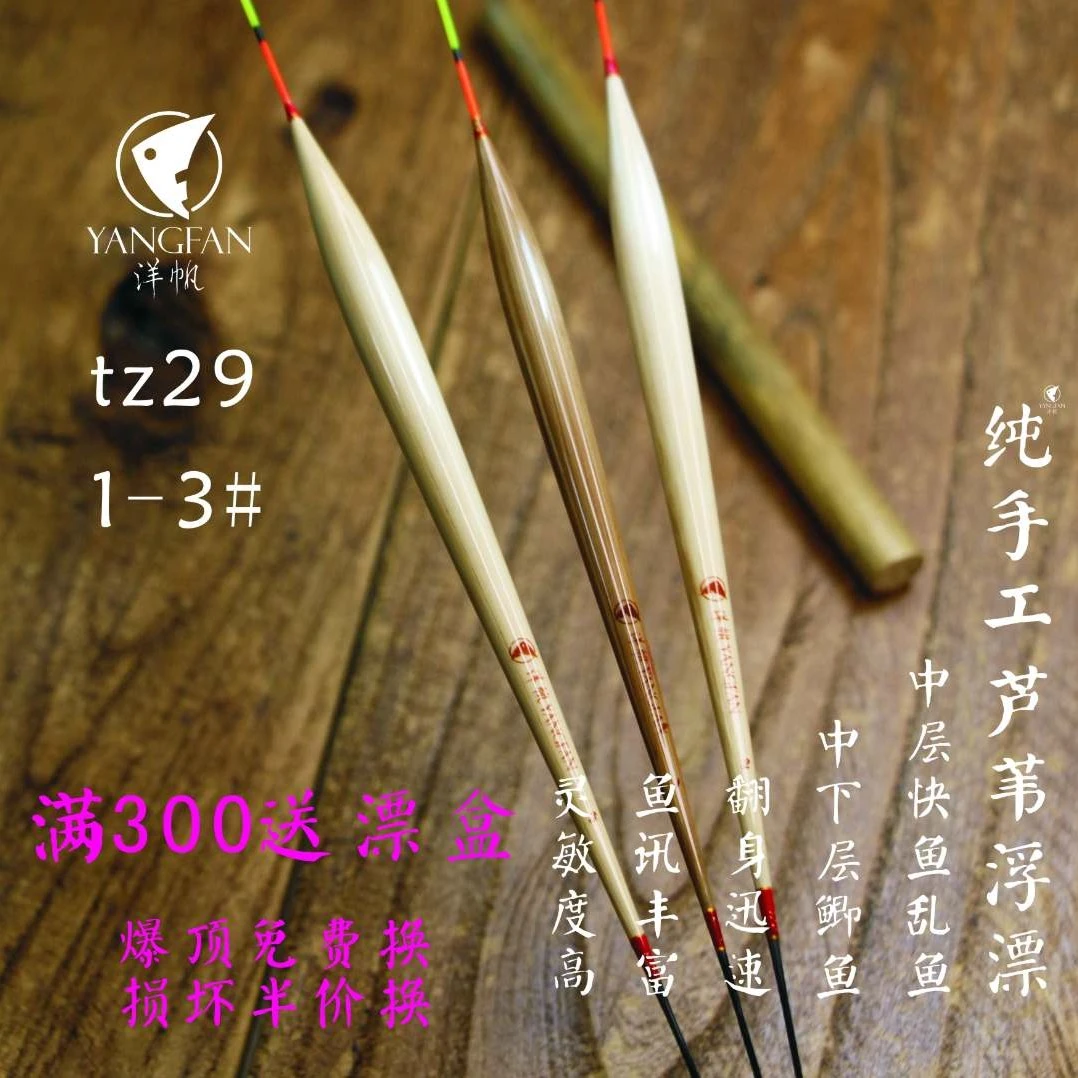 洋帆芦苇浮漂TZ29  鲫鱼漂  定层
