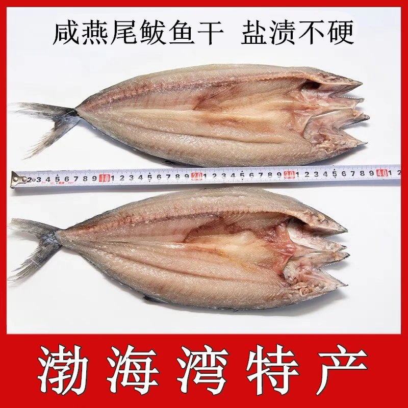 山东特产 新货燕尾鲅鱼咸香马鲛鱼半干咸鱼5条装马鲛鱼燕尾鲅鱼