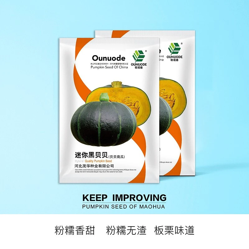 中科茂华蔬菜种子迷你黑贝贝南瓜种子礼品贝贝南瓜種子甜面栗子味