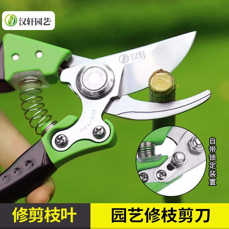 汉轩园艺花园艺剪刀修枝剪果树植物粗枝修花剪花多功能花艺剪