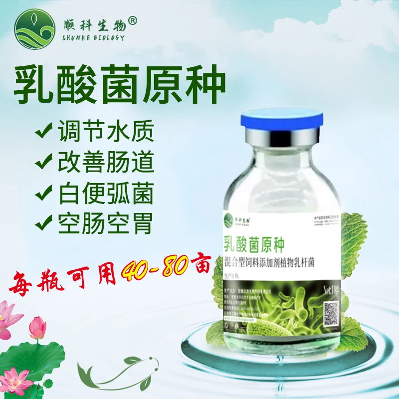 顺科生物乳酸菌原种，调节水质，改善肠道，降低PH值