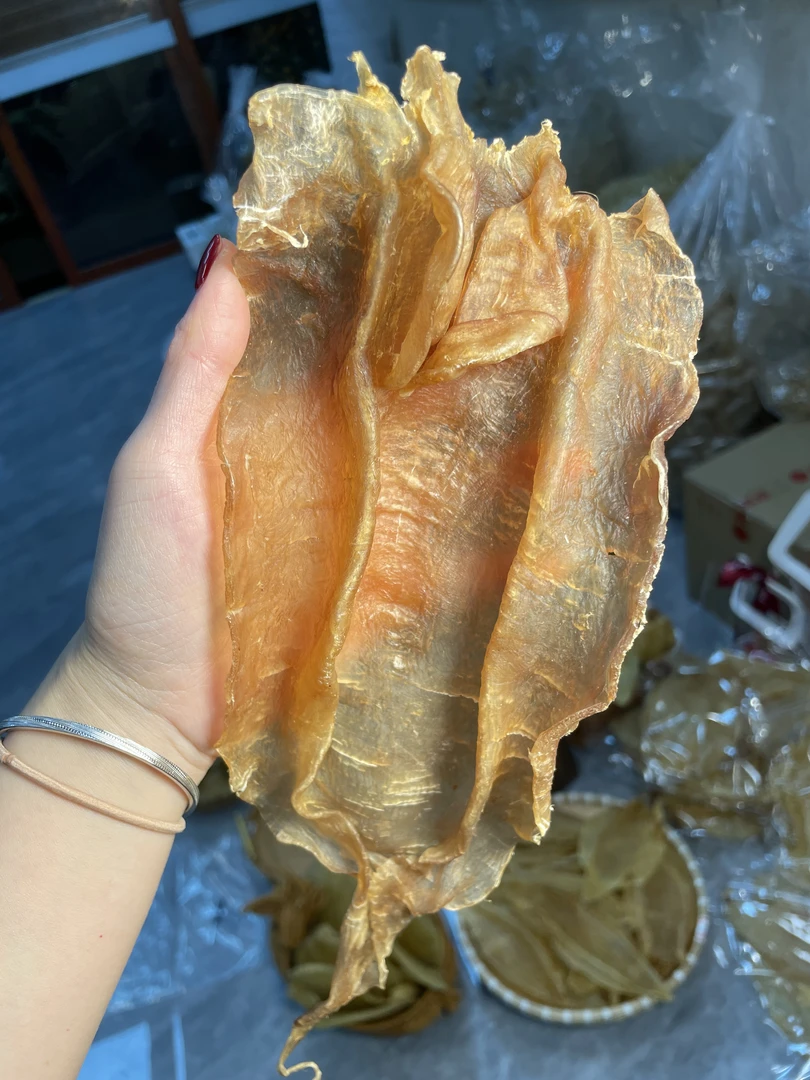 广东北海大耳金钱须1~500g