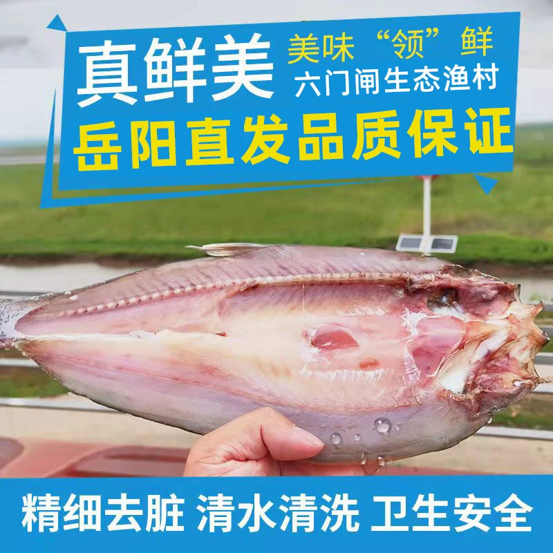 国家地标产品钱粮湖六门闸风干翘白鱼自然晾晒半干免泡水不咸不淡