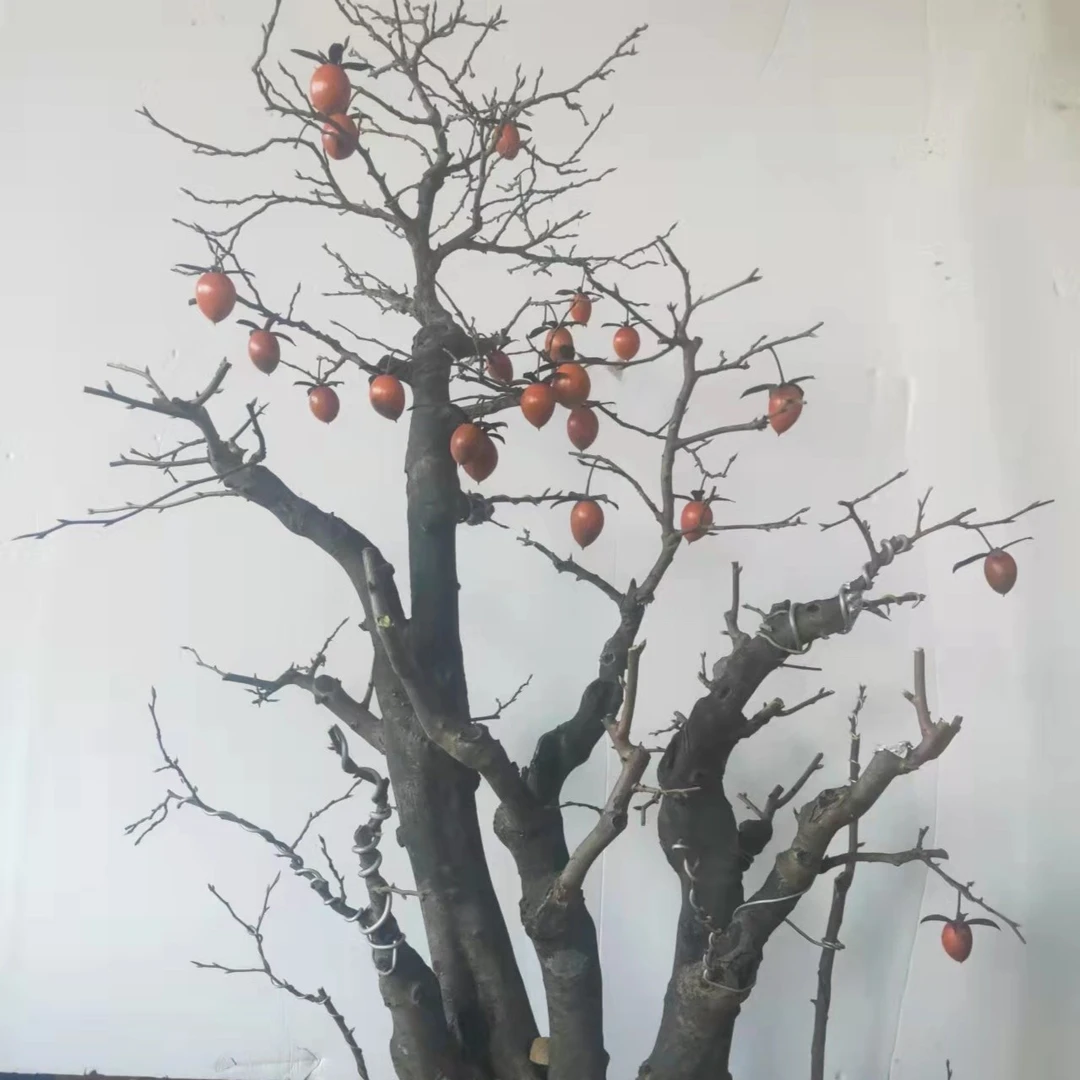 大型盆景——鑫立苗圃一物一拍绿植园艺