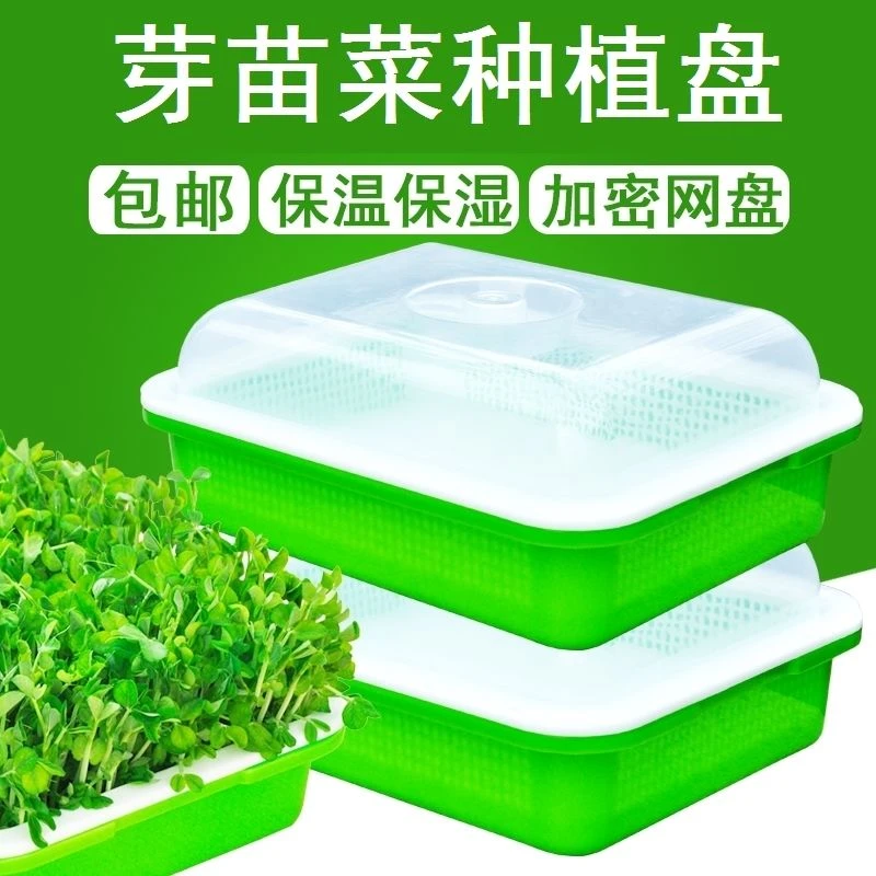 豆芽育苗托盘无土栽培水培蔬菜种植盘发芽盆芽苗菜种植盘种豆苗盘