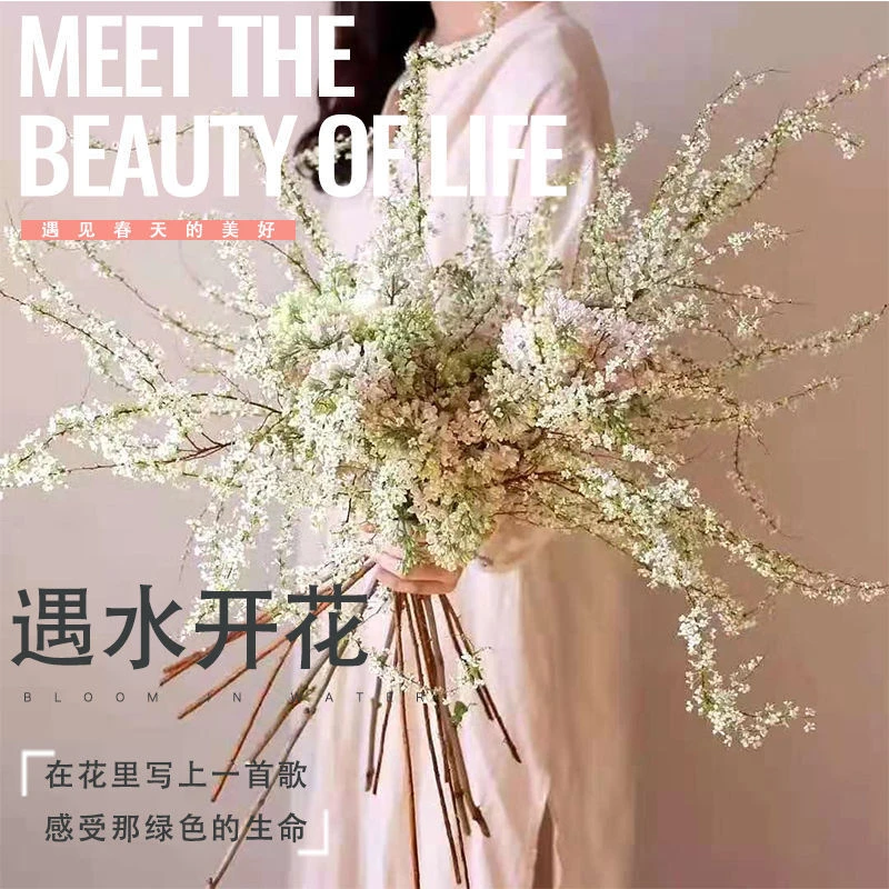 干枝雪柳泡水开花水培花卉遇水开花室内花卉植物客厅卧室花卉干花