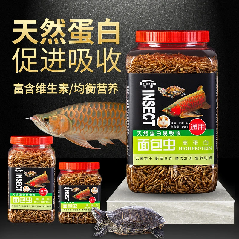 面包虫干黄粉虫烘干虫干乌龟饲料龟粮仓鼠粮刺猬大麦虫高蛋白虫干
