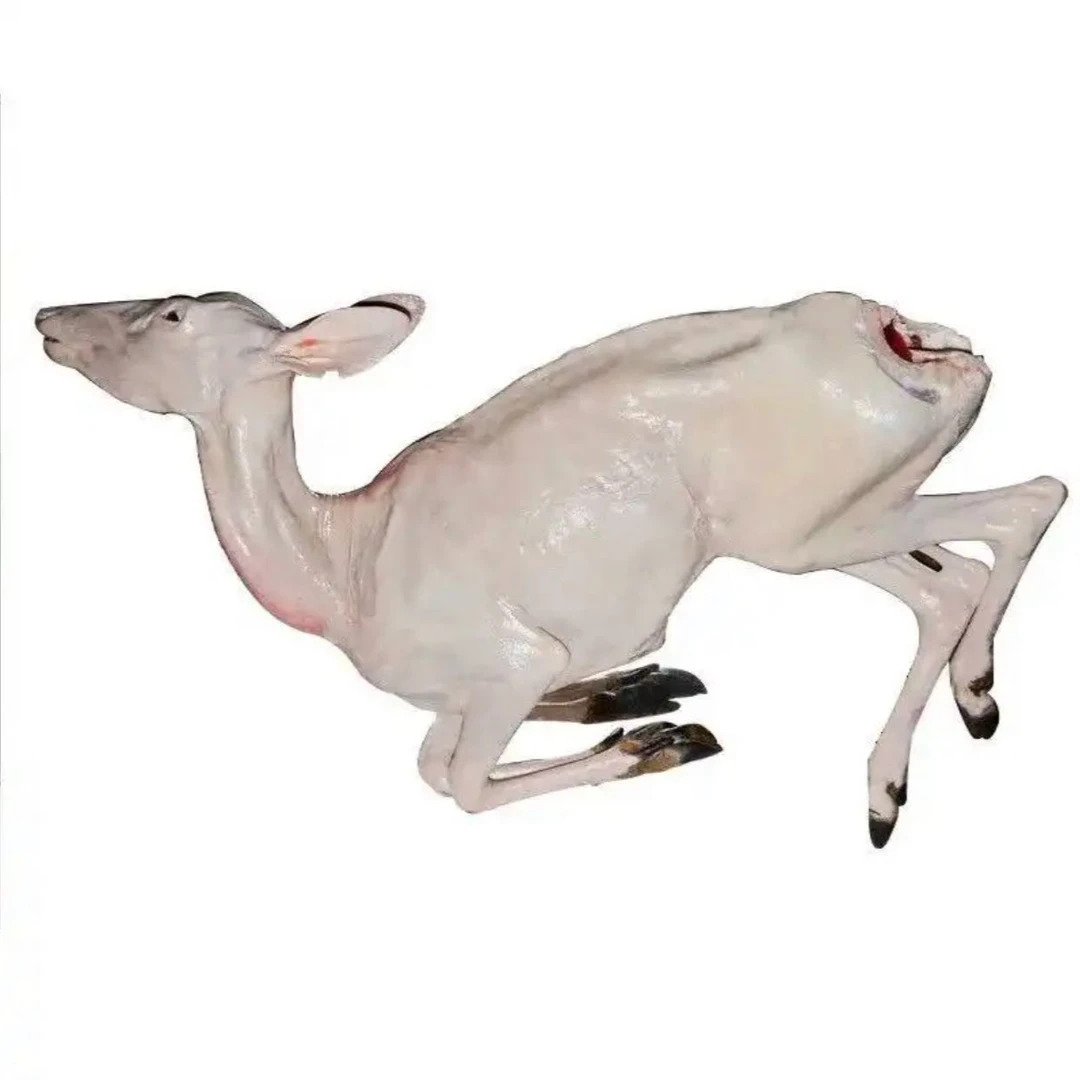 双阳鹿乡人工养殖新鲜鹿肉整支鹿63/斤散装以称重为准