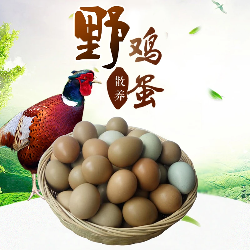 七彩山鸡蛋30/50/60枚一斤在17个左右 当天鲜蛋 农村散养整箱批发