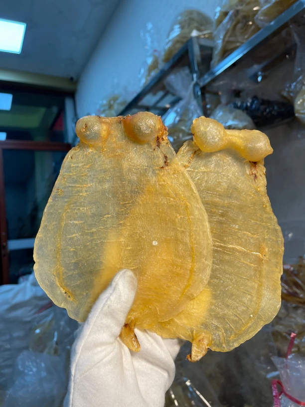 广东厚肚赤嘴鱼胶500g