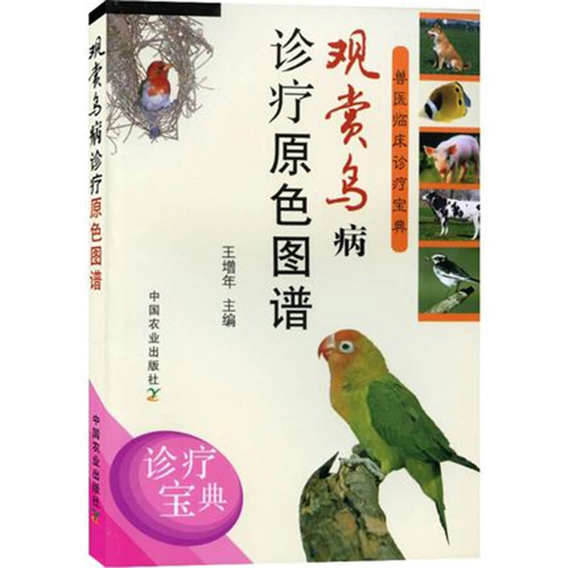 观赏鸟病诊疗原色图谱 笼养鸟驯养技法与疾病防治 观赏鸟养殖图