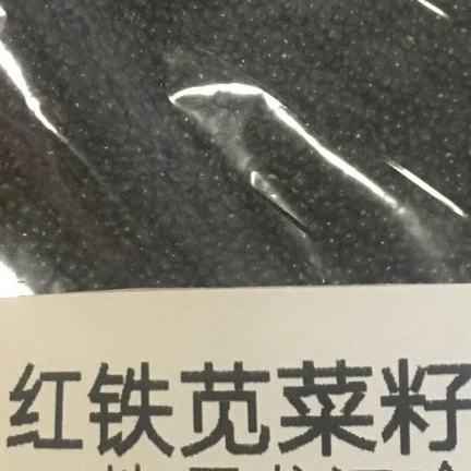 红铁苋菜子 红铁苋菜子 500G
