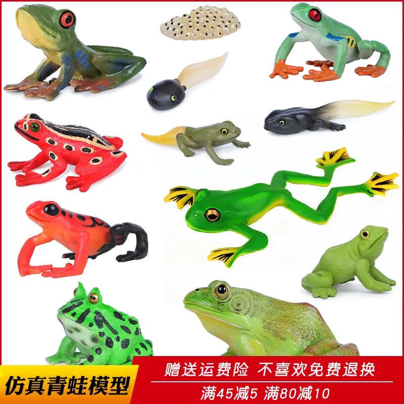 仿真青蛙玩具小蝌蚪动物模型牛蛙田鸡树蛙蛤蟆儿童科教道具礼物