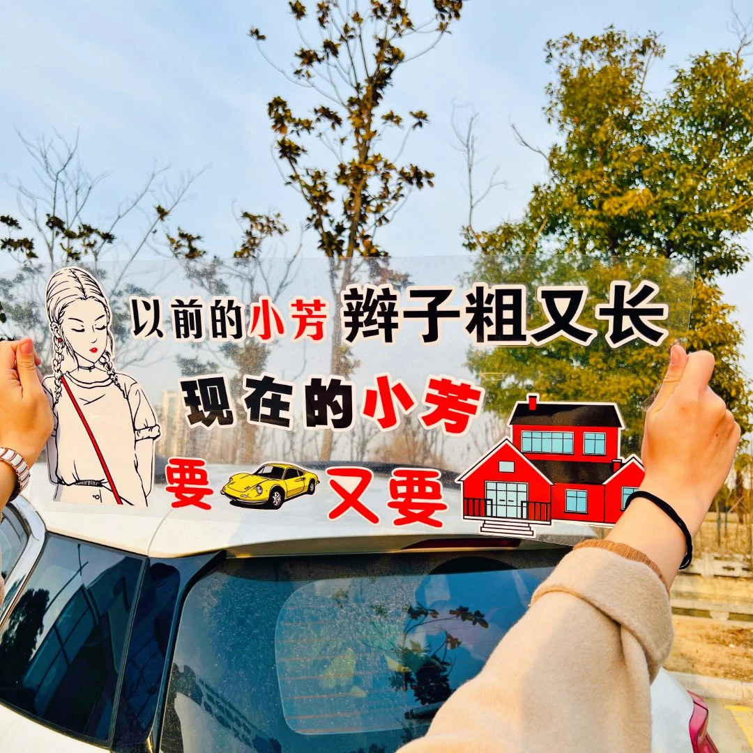 以前的小芳辫子粗又长   汽车车贴